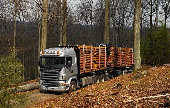 Картинка лес, природа, грузовик, Scania R470, лесовоз