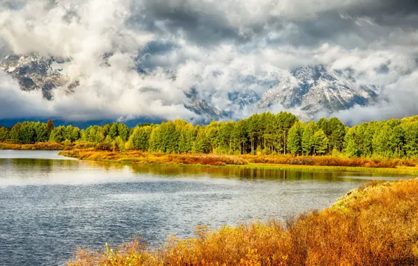 Картинка United States, Wyoming, Grand Teton National Park, Moran