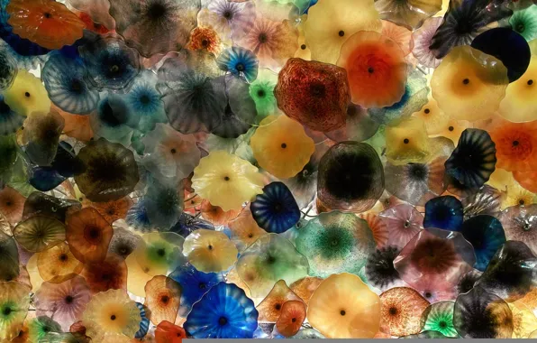 Картинка животные, цвета, Медузы, подводное