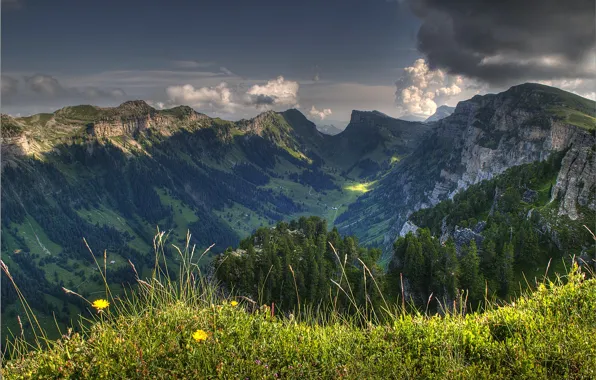 Картинка небо, трава, облака, деревья, цветы, горы, тучи, природа, долина, швейцария, switzerland