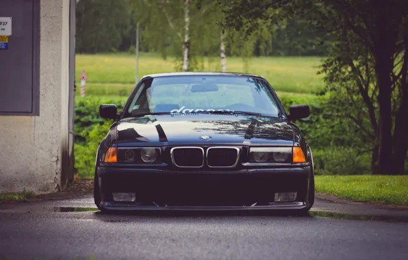 Картинка BMW, low, e36