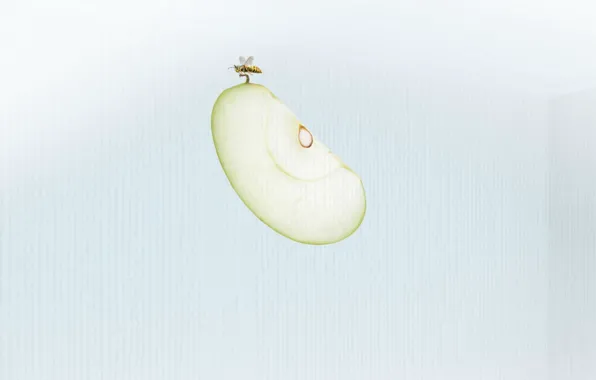 Картинка пчела, яблоко, минимализм