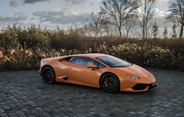 Картинка Lamborghini, Orange, Huracan, LP610-4