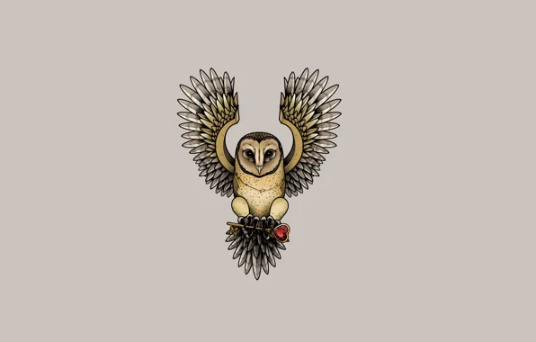 Картинка сова, птица, сердце, минимализм, ключ, owl