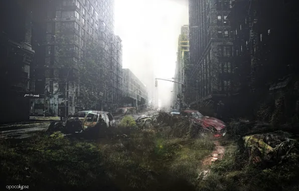 Картинка трава, машины, люди, катастрофа, зомби, Апокалипсис, хаос, Нью Йорк, разбитые, эпедимия, разрушенние
