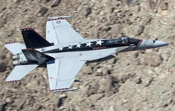 Картинка истребитель, многоцелевой, Hornet, CF-18