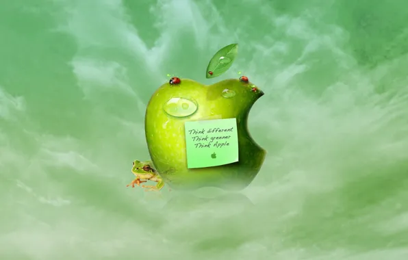 Картинка apple, лягушка, Яблоко, листик