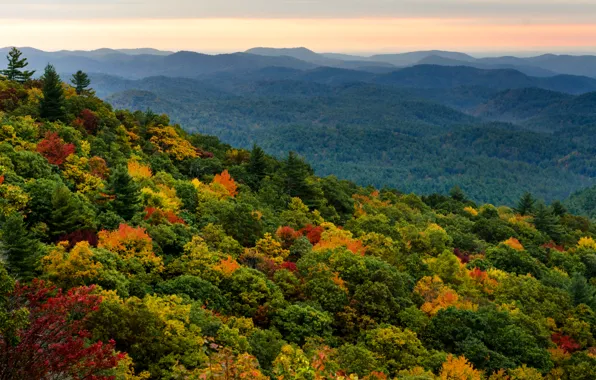Картинка лес, небо, деревья, закат, оранжевый, холмы, вид, высота, вечер, Осень, дымка