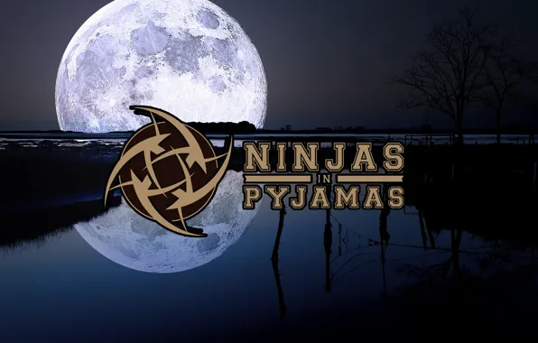 Картинка CSGO, nip, NiP, Counter-Strike: Global Offensive, Ninjas in Pyjamas, Proffesional team