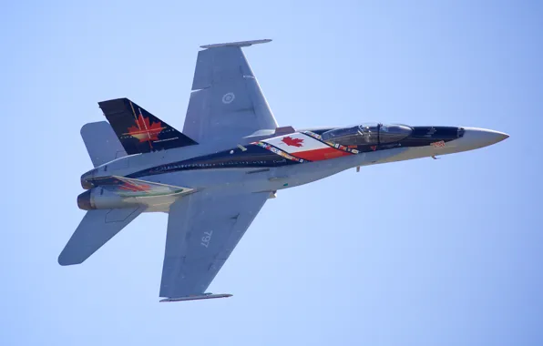 Картинка истребитель, многоцелевой, Hornet, McDonnell Douglas, CF-18