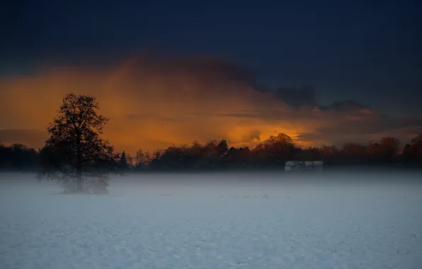 Картинка зима, поле, снег, туман, дом, дерево