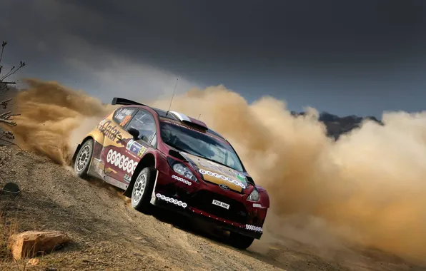 Картинка Ford, Пыль, WRC, Rally, Fiesta, Al Kuwari