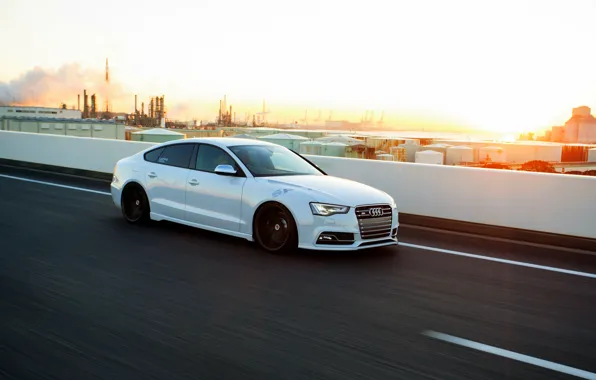 Картинка Audi, white, wheels, frontside
