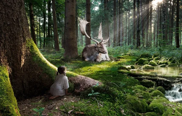 Картинка лес, лучи, ручей, олень, Девочка, наблюдение