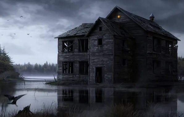 Картинка вода, свет, птицы, дом, болото, деревянный, руины, ворона, мрачность
