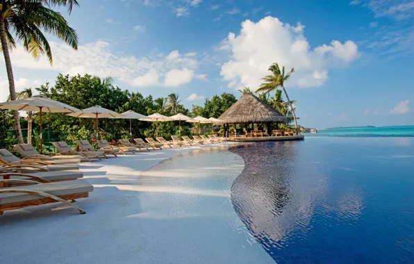 Картинка pool, ocean, vacation, palms, resort, Dominican republic