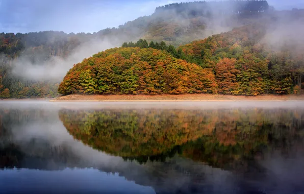 Картинка осень, отражения, деревья, озеро, Люксембург