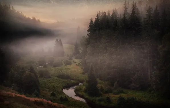 Картинка туман, река, Чехия, Шумава, Богемский Лес, Šumava