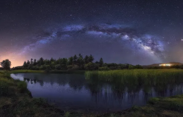 Картинка небо, звезды, деревья, ночь, озеро, млечный путь