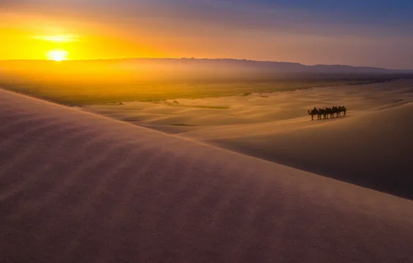 Картинка закат, природа, пустыня