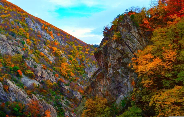 Картинка осень, деревья, горы, природа, скалы, colors, Nature, trees, landscape, autumn, mountain, fall
