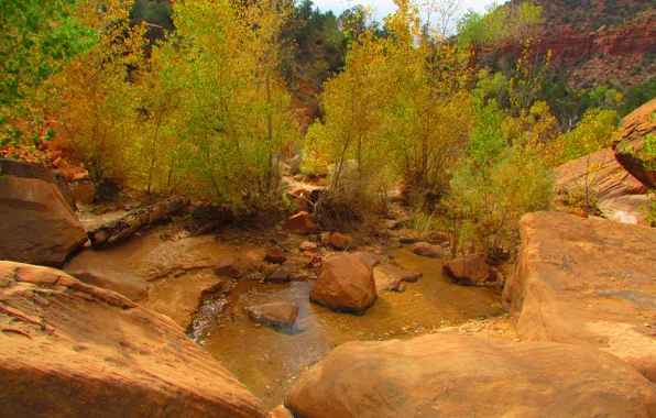 Картинка осень, деревья, река, ручей, камни, скалы