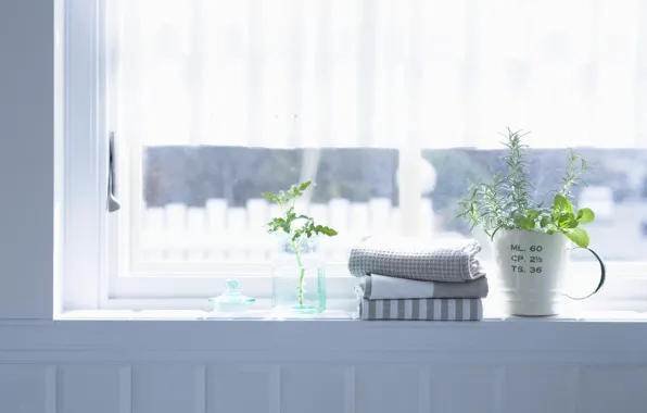 Картинка цветы, комната, интерьер, полотенце, растения, окно, квартира