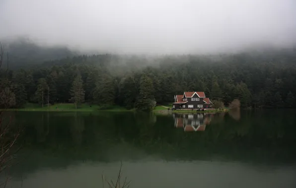 Картинка лес, туман, озеро, Турция, Болу, Гельджюке