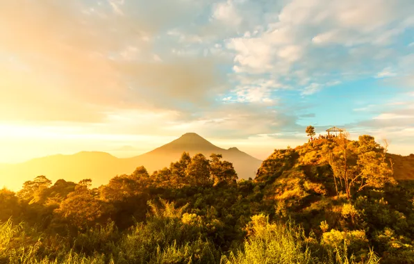 Картинка лес, солнце, облака, деревья, горы, остров, Индонезия, Ява, Java island
