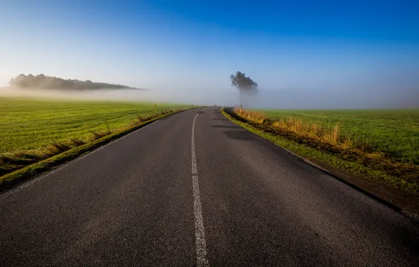 Картинка дорога, поле, небо, трава, деревья, туман, утро