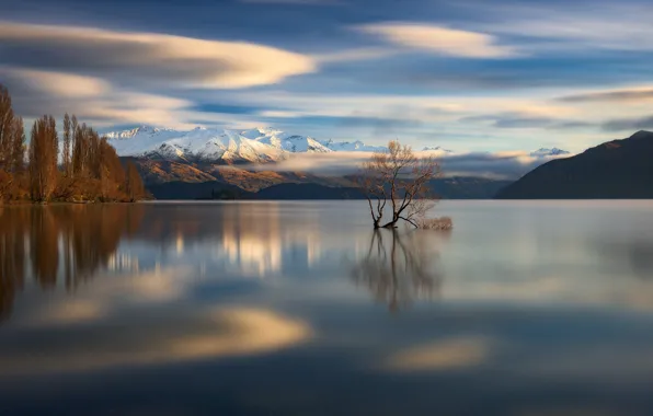 Картинка облака, горы, озеро, дерево, Новая Зеландия
