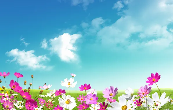Картинка небо, трава, листья, облака, цветы, свежесть, green, ромашки, красота, весна, луг, розовые, white, grass, белые, …