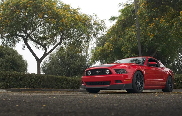 Картинка Mustang, Ford, RTR, Parking, 2013