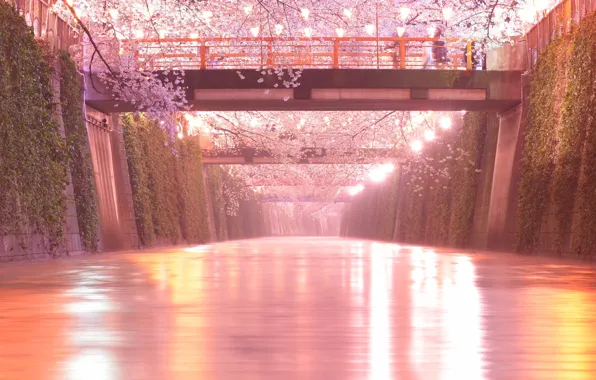 Картинка мост, река, сакура, фонари, Japan