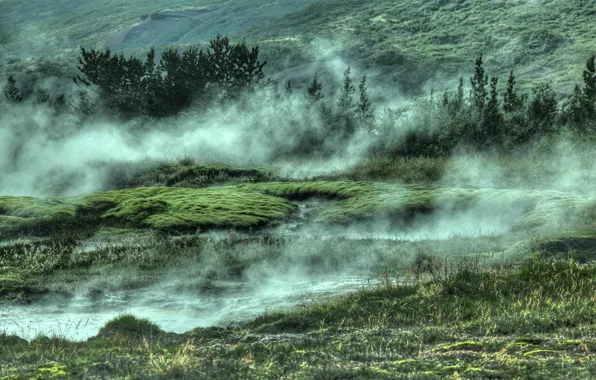 Картинка green, grass, trees, nature, water, fog, Iceland, geothermal area, Selfoss, fountain geyser, Strokkur Geyser