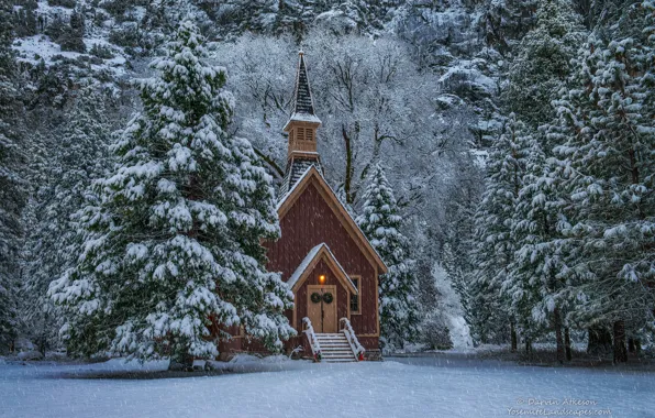Картинка зима, лес, снег, деревья, церковь, Невада