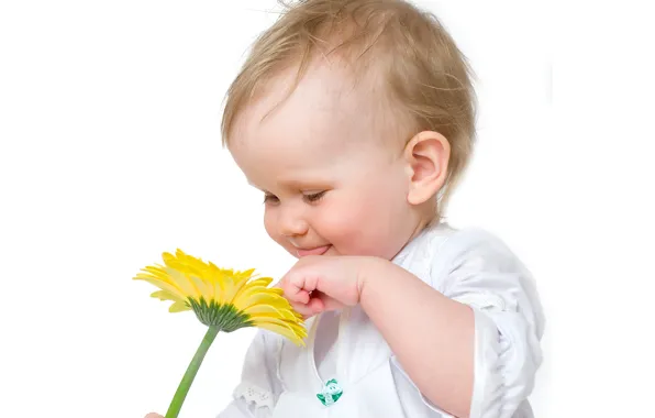 Картинка цветок, ребенок, малышка, child, kid, Infants