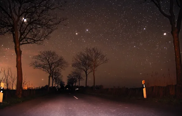 Картинка дорога, небо, деревья, луна, звёзды, Ночь, moon, road, sky, trees, night, stars