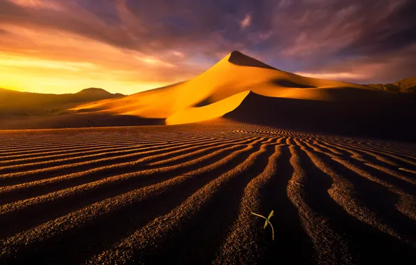 Картинка песок, небо, облака, барханы, пустыня, дюны