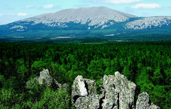 Картинка лес, гора, Башкирия, Башкортостан, Иремель