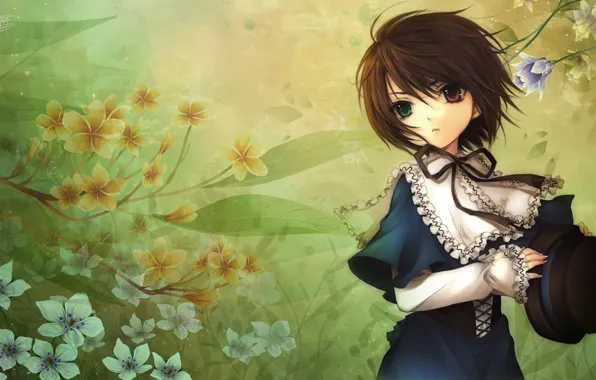 Картинка девушка, цветы, фон, ветер, шляпа, арт, разные глаза, souseiseki, дева-роза, mizunomoto
