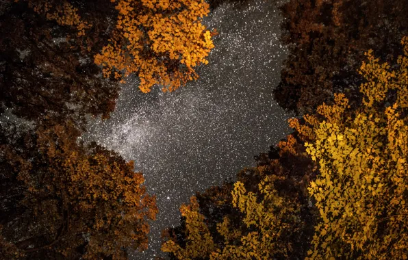 Картинка осень, небо, photo, photographer, ночное, Greg Stevenson, звездное