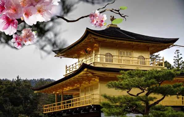 Картинка крыша, цветы, вишня, дерево, ветка, Япония, сакура, розовые, цветение