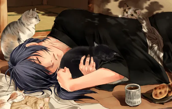 Картинка чай, коты, спит, парень, Hakuouki, Saitou Hajime, Shinsengumi
