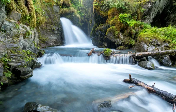Картинка камни, водопад, мох, Аляска, США, Alaska, коряги, Virgin Falls, ручей.