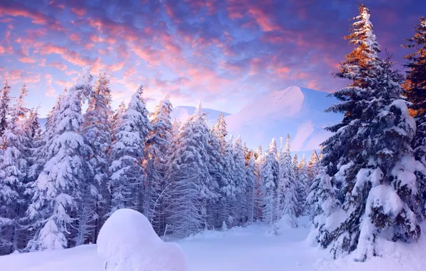 Картинка небо, облака, свет, снег, деревья, горы, Зима