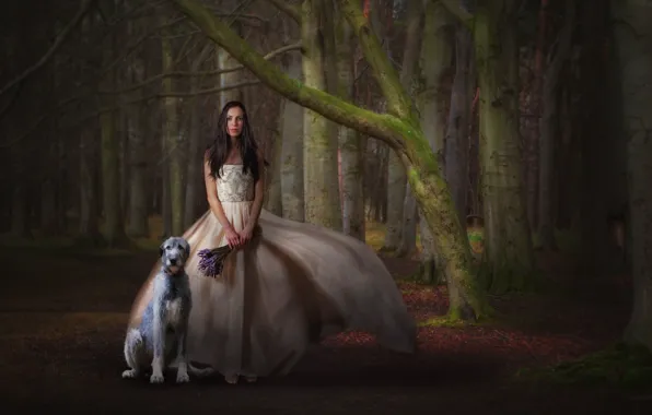 Картинка лес, девушка, собака, букет, платье, ожидание