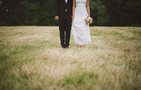 Картинка поле, трава, платье, костюм, невеста, жених