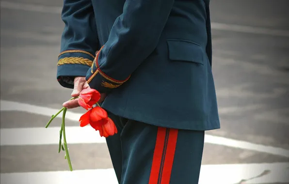 Картинка цветы, 9мая, день победы, ветеран