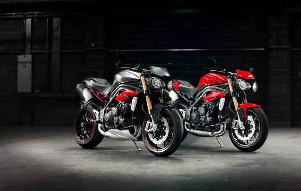 Картинка гараж, мотоцикл, два, Triumph, 2016, speed triple r